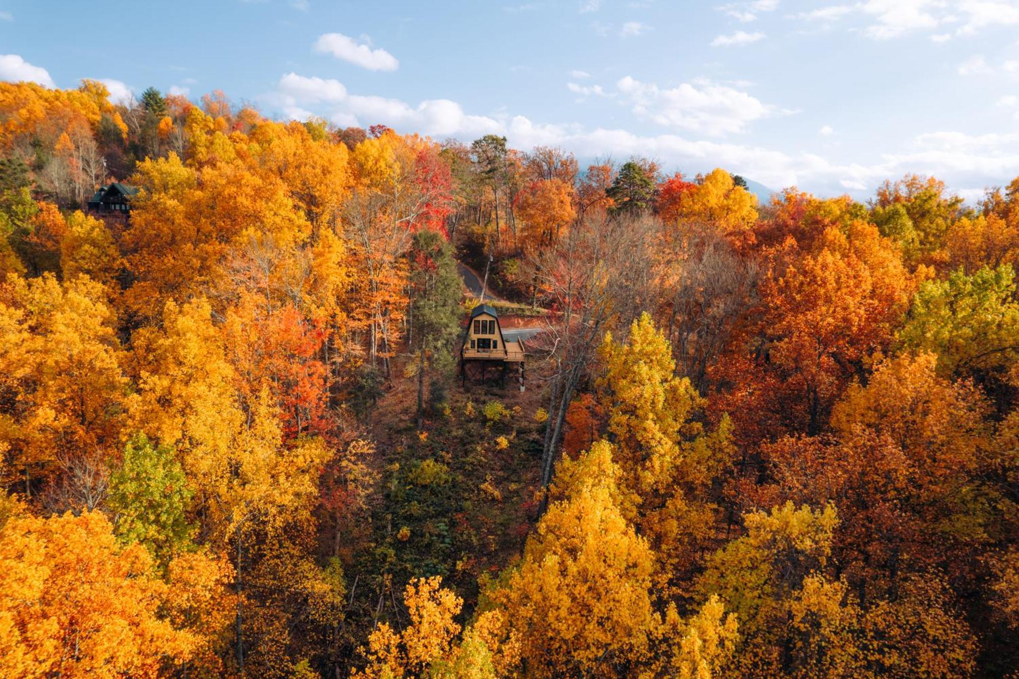 Secluded Mtn View New! 10 Mins To Gatlinburg Or Park Villa ภายนอก รูปภาพ